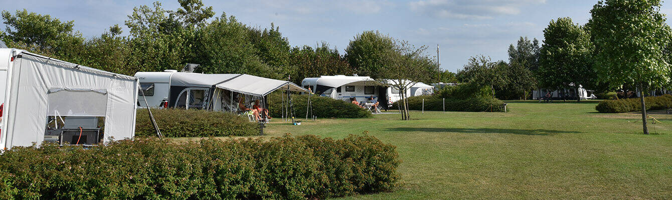 camping-brabant-veld-2023 Kamperen in Noord-Brabant - Mini camping Hoeve de Bonte Kraai