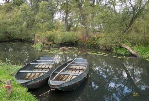 biesbosch Omgeving - Hoeve de Bonte Kraai