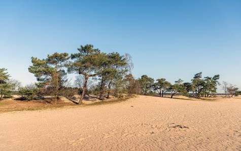 loonse-drunense-duinen Omgeving - Hoeve de Bonte Kraai